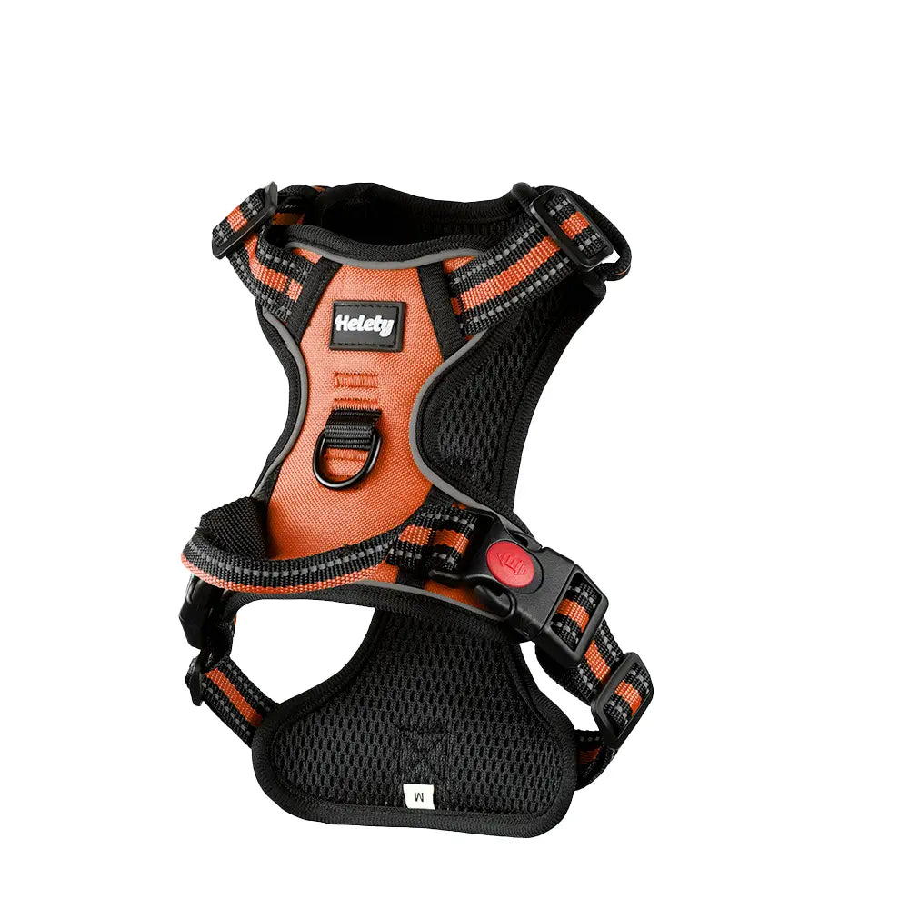 Premium Adjustable Dog Vest Harness and Leash Set for Medium to Large Dogs - Quick Fit, Escape-Proof Design with Padded Comfort Neck Plate and Plush Corduroy Fabric